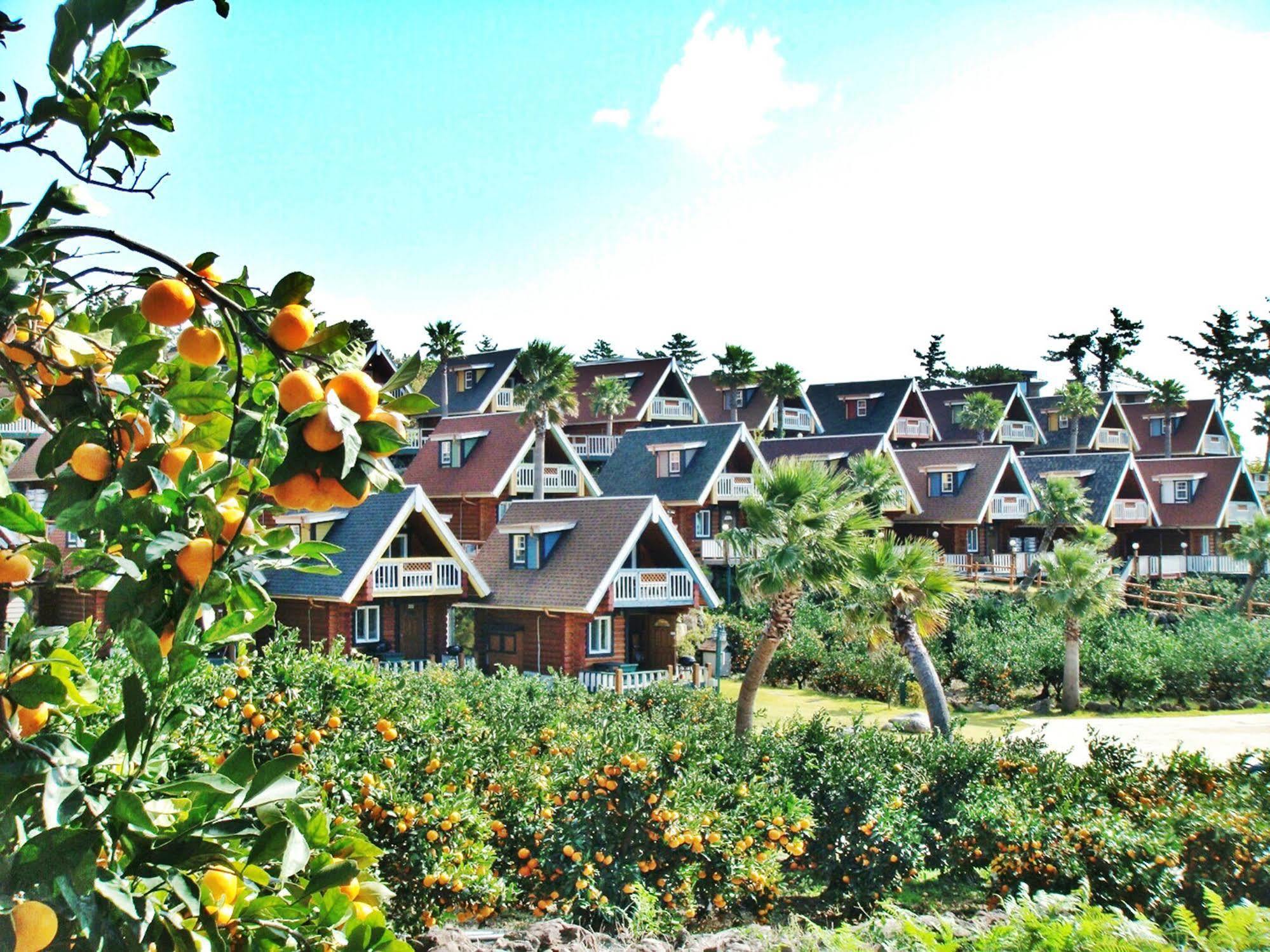 Jungmun Log Pension&Resort Seogwipo Eksteriør bilde